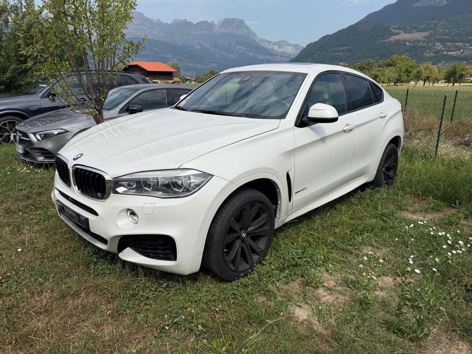 BMW X6 F16 xDrive30d 258 ch M Sport A