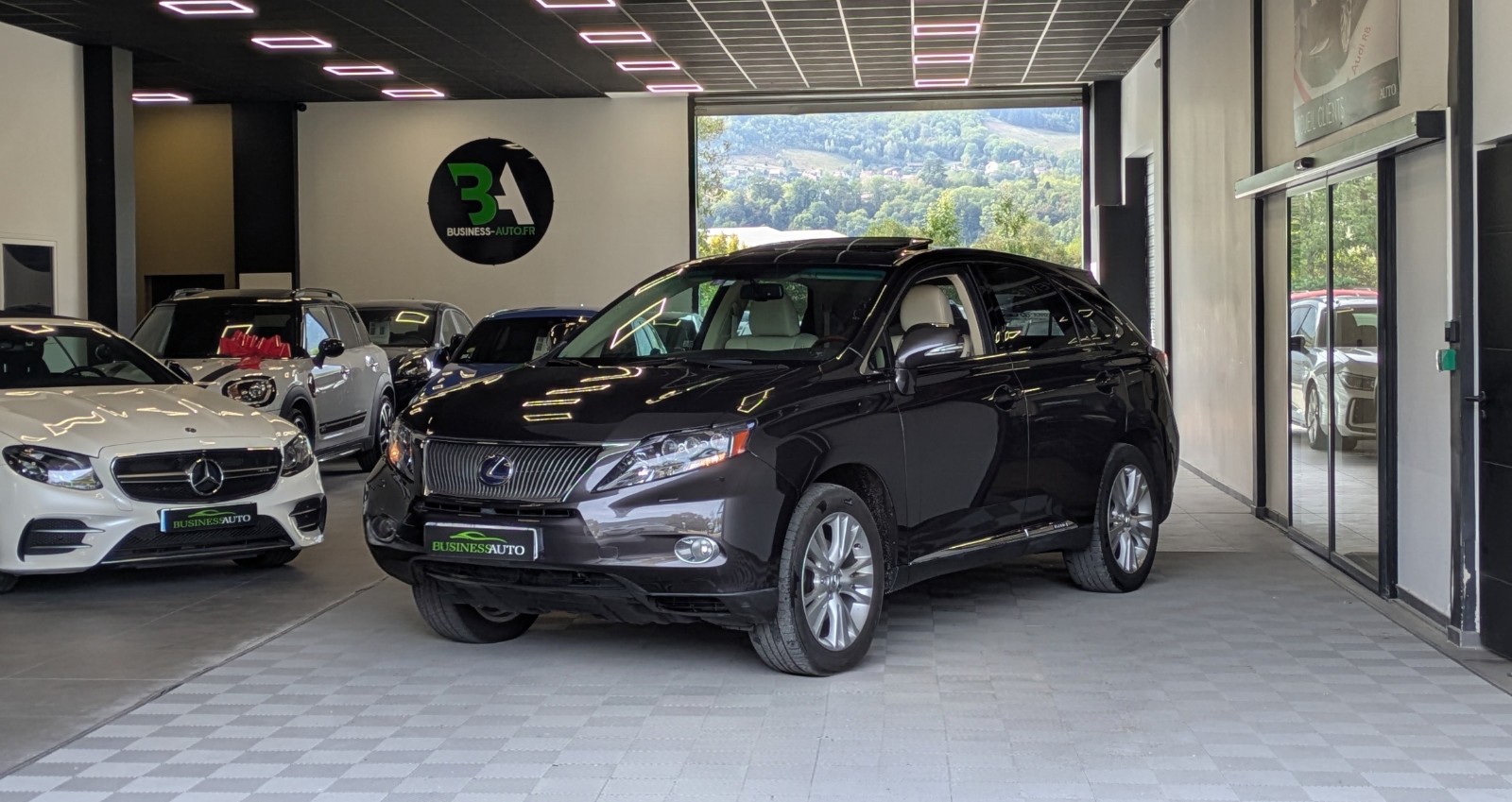 LEXUS RX