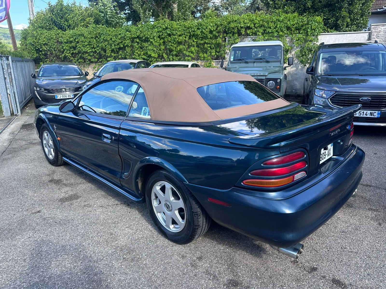 Photo 16