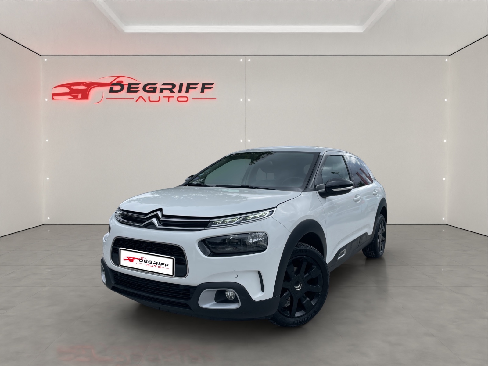 CITROEN C4 CACTUS 110 S&S EAT6 Shine